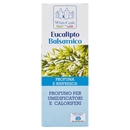 White Castle Profumo per Umidificatori e Caloriferi Eucalipto Balsamico 100 ml